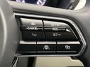 ＸＤ－ハイブリッド　プレミアムモダン　パノラマルーフ　純正１２．３型ナビ　全周囲カメラ　メモリーシート　ＢＯＳＥサウンド　スマートブレーキサポート　電動リアゲート　白革シート　シートベンチレーション　純正２０インチアルミ（55枚目）