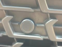 ڥꥢ󥹥ʡۥХѡդ󥵡㳲ʪΡεΥ˶Ťȥ顼ȤǶƤޤ֥ڡָ¿Ǥ͡ 7