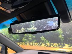 ڥǥ륤ʡߥ顼۸ʤ礭ʲʪƱԤǸǧŤ餤Ǥ¿餬Ƥξα롼ߥ顼ɽꥢʻ볦ǾγǧǽǤ 6