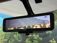 �ڥ���ƥꥸ����ȥ롼��ߥ顼�۸��ʤ��礭�ʲ�ʪ��Ʊ��ԤǸ�������ǧ���Ť餤���Ǥ�¿�������餬���Ƥ�����ξ�����α�����롼��ߥ顼���ɽ�������ꥢ�ʻ볦�Ǿ����γ�ǧ����ǽ�Ǥ��� 5