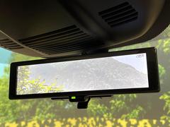 �ڥ���ƥꥸ����ȥ롼��ߥ顼�۸��ʤ��礭�ʲ�ʪ��Ʊ��ԤǸ�������ǧ���Ť餤���Ǥ�¿�������餬���Ƥ�����ξ�����α�����롼��ߥ顼���ɽ�������ꥢ�ʻ볦�Ǿ����γ�ǧ����ǽ�Ǥ��� 7