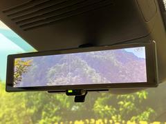 �ڥ���ƥꥸ����ȥ롼��ߥ顼�۸��ʤ��礭�ʲ�ʪ��Ʊ��ԤǸ�������ǧ���Ť餤���Ǥ�¿�������餬���Ƥ�����ξ�����α�����롼��ߥ顼���ɽ�������ꥢ�ʻ볦�Ǿ����γ�ǧ����ǽ�Ǥ��� 6