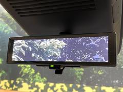 �ڥ���ƥꥸ����ȥ롼��ߥ顼�۸��ʤ��礭�ʲ�ʪ��Ʊ��ԤǸ�������ǧ���Ť餤���Ǥ�¿�������餬���Ƥ�����ξ�����α�����롼��ߥ顼���ɽ�������ꥢ�ʻ볦�Ǿ����γ�ǧ����ǽ�Ǥ��� 4