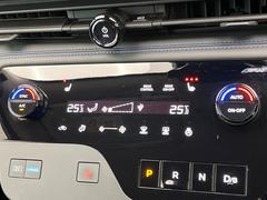 �ڥ����ȥҡ������۴������˽������륷���ȥҡ������������������᤯���ޤäƤ����ΤǴ�����οͤ�¿��Ǥ��͢���������β����ϴ��礹�뤫���ꡢ�Ȥ������ˤ�򤪤�����Ǥ��� 6