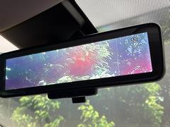 �ڥ���ƥꥸ����ȥ롼��ߥ顼�۸��ʤ��礭�ʲ�ʪ��Ʊ��ԤǸ�������ǧ���Ť餤���Ǥ�¿�������餬���Ƥ�����ξ�����α�����롼��ߥ顼���ɽ�������ꥢ�ʻ볦�Ǿ����γ�ǧ����ǽ�Ǥ��� 6