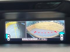 �ڥե���ȡ������ɡ��Хå������ۥɥ饤�С����鸫�ˤ��������ʬ������ǳ�ǧ�Ǥ��륫����ƽ�����塣���̤��������ʤ����佻��̩���Ϥʤɤ�ž���뤳�Ȥ�¿���ͤˤ�������ΰ¿������Ǥ��� 7