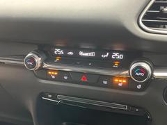 �ڥ����ȥҡ������۴������˽������륷���ȥҡ������������������᤯���ޤäƤ����ΤǴ�����οͤ�¿��Ǥ��͢���������β����ϴ��礹�뤫���ꡢ�Ȥ������ˤ�򤪤�����Ǥ��� 6