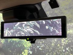 �ڥ���ƥꥸ����ȥ롼��ߥ顼�۸��ʤ��礭�ʲ�ʪ��Ʊ��ԤǸ�������ǧ���Ť餤���Ǥ�¿�������餬���Ƥ�����ξ�����α�����롼��ߥ顼���ɽ�������ꥢ�ʻ볦�Ǿ����γ�ǧ����ǽ�Ǥ��� 6