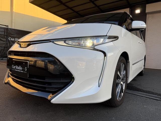 エスティマ アエラス 純正SDナビゲーション バックモニター 両側電動スライドドア 18インチアルミホイール クルーズコントロール(6枚目)