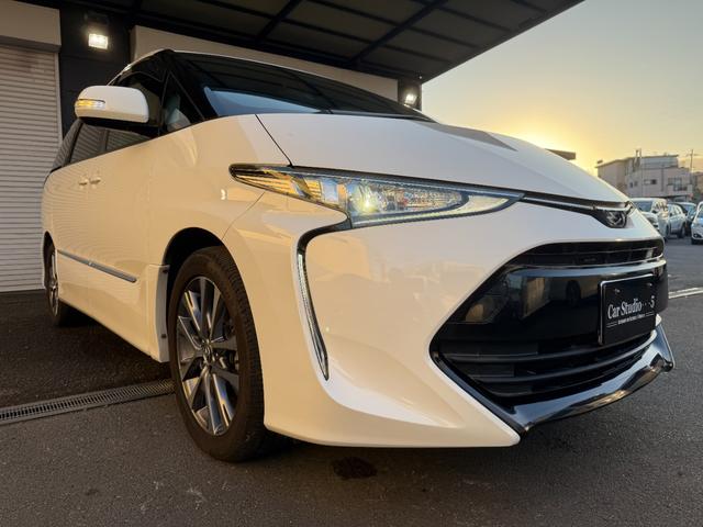 エスティマ アエラス 純正SDナビゲーション バックモニター 両側電動スライドドア 18インチアルミホイール クルーズコントロール(7枚目)