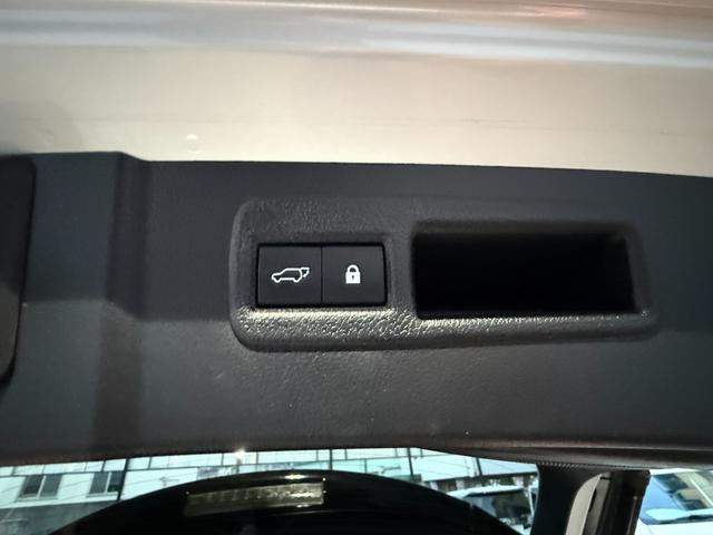 ＮＸ ＮＸ３００　バージョンＬ　サンルーフ　純正ナビ　ＴＶ　Ｂｌｕｅｔｏｏｔｈ対応　ミラーキャスト　バックガイドモニター　サイドモニター　ＥＴＣ　ドラレコ　　クルーズコントロール　運転席・助手席シートベンチレーション　　ＢＳＭ（54枚目）