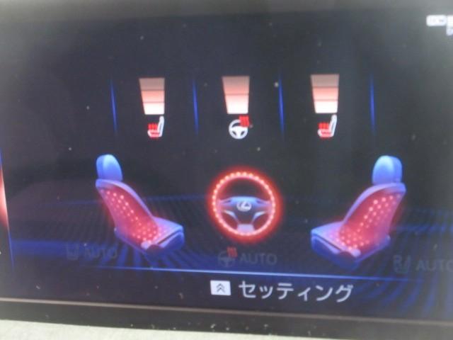 ＵＸ ＵＸ２５０ｈ　バージョンＣ　フルセグ　メモリーナビ　ＤＶＤ再生　バックカメラ　衝突被害軽減システム　ＥＴＣ　ＬＥＤヘッドランプ（16枚目）