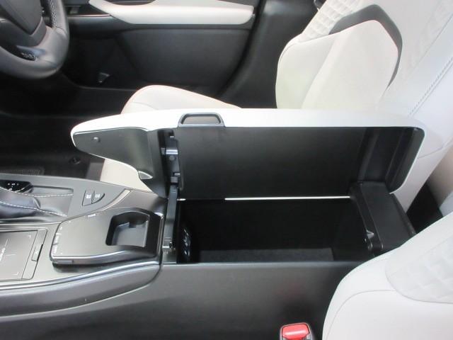 ＵＸ ＵＸ２５０ｈ　バージョンＣ　フルセグ　メモリーナビ　ＤＶＤ再生　バックカメラ　衝突被害軽減システム　ＥＴＣ　ＬＥＤヘッドランプ（28枚目）