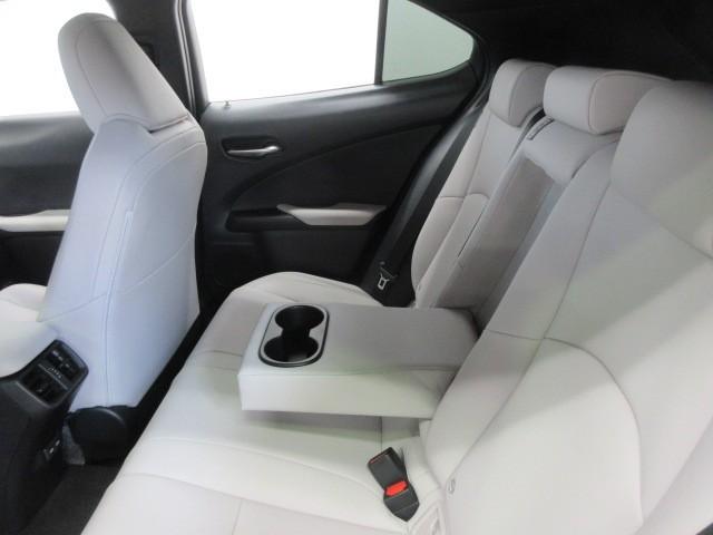 ＵＸ ＵＸ２５０ｈ　バージョンＣ　フルセグ　メモリーナビ　ＤＶＤ再生　バックカメラ　衝突被害軽減システム　ＥＴＣ　ＬＥＤヘッドランプ（32枚目）