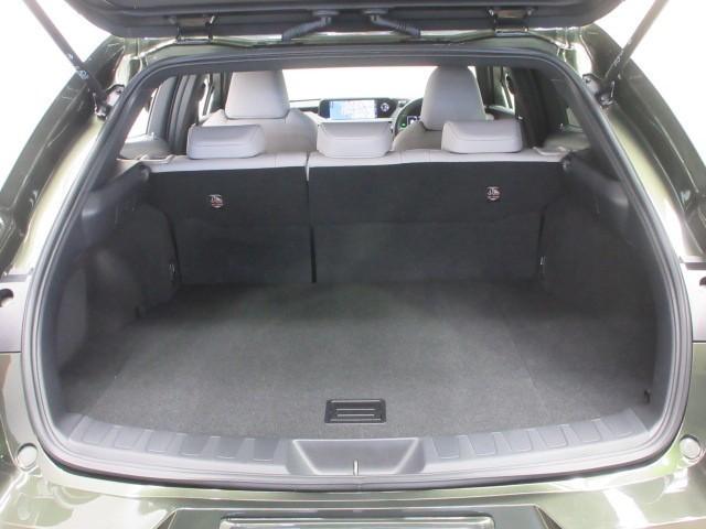 ＵＸ ＵＸ２５０ｈ　バージョンＣ　フルセグ　メモリーナビ　ＤＶＤ再生　バックカメラ　衝突被害軽減システム　ＥＴＣ　ＬＥＤヘッドランプ（33枚目）