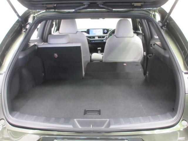 ＵＸ ＵＸ２５０ｈ　バージョンＣ　フルセグ　メモリーナビ　ＤＶＤ再生　バックカメラ　衝突被害軽減システム　ＥＴＣ　ＬＥＤヘッドランプ（34枚目）