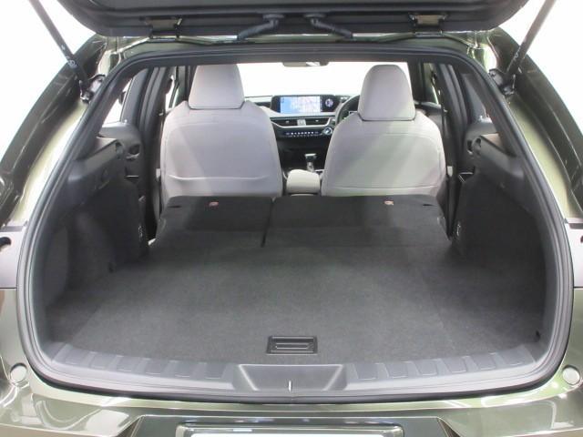 ＵＸ ＵＸ２５０ｈ　バージョンＣ　フルセグ　メモリーナビ　ＤＶＤ再生　バックカメラ　衝突被害軽減システム　ＥＴＣ　ＬＥＤヘッドランプ（35枚目）