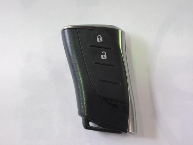 ＵＸ ＵＸ２５０ｈ　バージョンＣ　フルセグ　メモリーナビ　ＤＶＤ再生　バックカメラ　衝突被害軽減システム　ＥＴＣ　ＬＥＤヘッドランプ（37枚目）