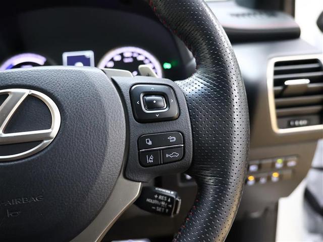 ＮＸ ＮＸ３００ｈ　Ｆスポーツ　革シート　サンルーフ　４ＷＤ　フルセグ　メモリーナビ　ＤＶＤ再生　バックカメラ　衝突被害軽減システム　ＥＴＣ　ドラレコ　ＬＥＤヘッドランプ（15枚目）