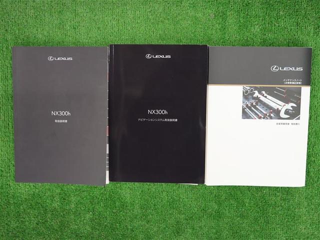 ＮＸ ＮＸ３００ｈ　Ｆスポーツ　革シート　サンルーフ　４ＷＤ　フルセグ　メモリーナビ　ＤＶＤ再生　バックカメラ　衝突被害軽減システム　ＥＴＣ　ドラレコ　ＬＥＤヘッドランプ（32枚目）