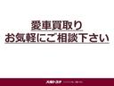 プラスハナ　☆ワンセグＴＶ　ＨＤＤナビ　ＤＶＤ再生　ＥＴＣ　社外ＨＩＤヘッドランプバルブ　ウオークスルー(40枚目)