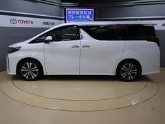 ����ե����� �������ӡ��åѥå�����������롼�ա��ե륻�������꡼�ʥ� 0708683A20260115T001 4