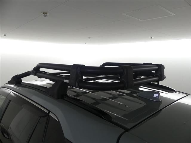 RAV4 アドベンチャー 4WD メモリーナビ バックカメラ 衝突被害軽減システム ETC ドラレコ LEDヘッドランプ ワンオーナー(34枚目)