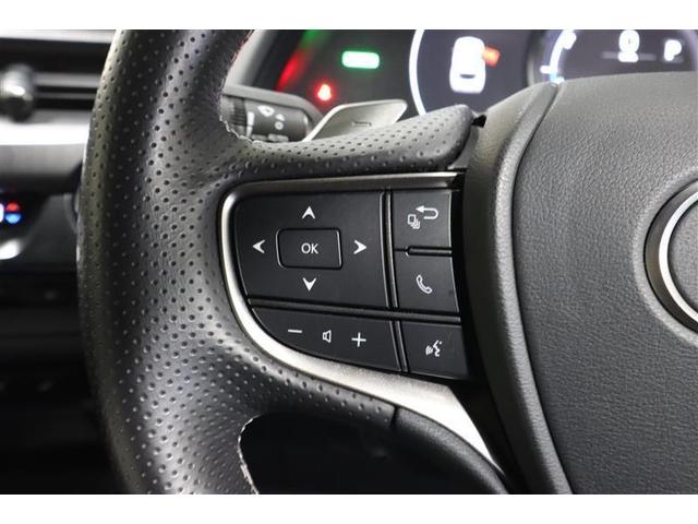 ＵＸ ＵＸ２５０ｈ　Ｆスポーツ　サンルーフ　フルセグ　メモリーナビ　ＤＶＤ再生　ミュージックプレイヤー接続可　バックカメラ　衝突被害軽減システム　ＥＴＣ　ドラレコ　ＬＥＤヘッドランプ　記録簿（24枚目）