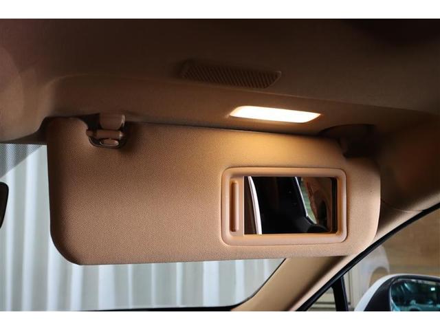 ������Ƃ����g�����Ȃ݂̃`�F�b�N�ɕ֗��ȃo�j�e�B�~���[�t�T���o�C�U�[��