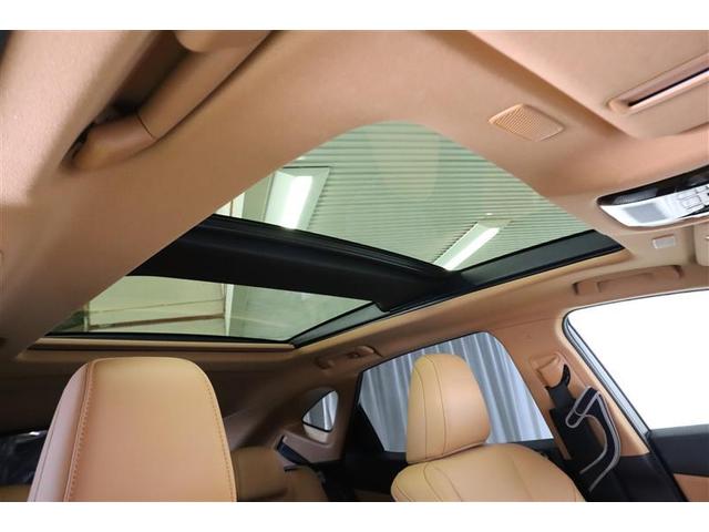 ���[�����[�t�t���I���邭�A�J�����̂��鎺���ł���