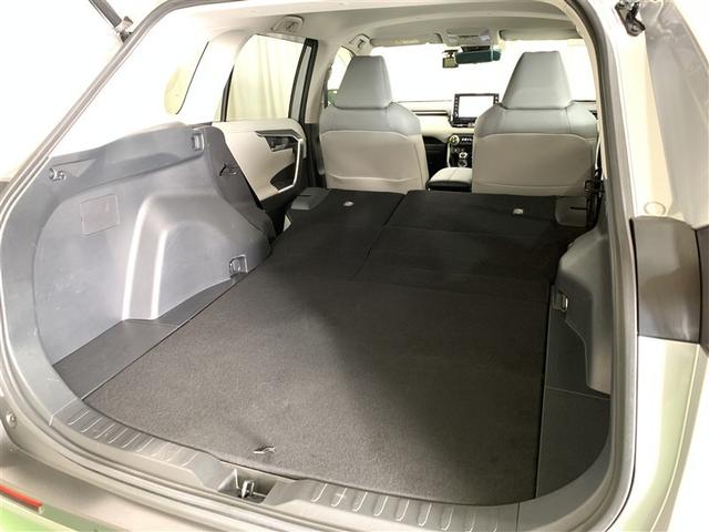 �㕔���Ȃ�|���΁A�傫�ȉו����n�j��