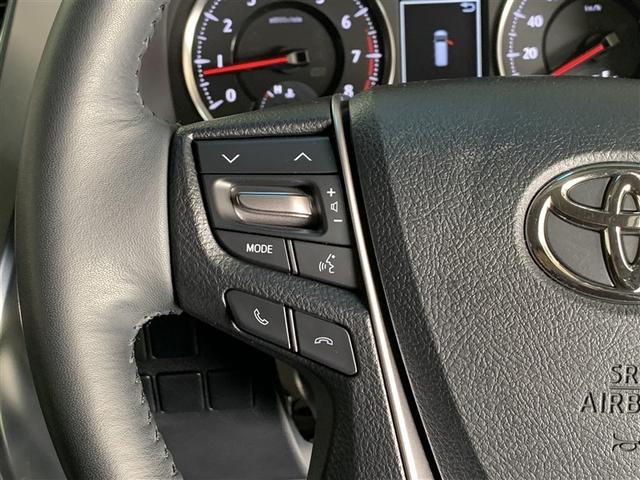 アルファード ２．５Ｓ　Ｃパッケージ　フルセグ　メモリーナビ　ＤＶＤ再生　ミュージックプレイヤー接続可　後席モニター　バックカメラ　ＥＴＣ　ドラレコ　両側電動スライド　ＬＥＤヘッドランプ　乗車定員７人　３列シート　記録簿（22枚目）