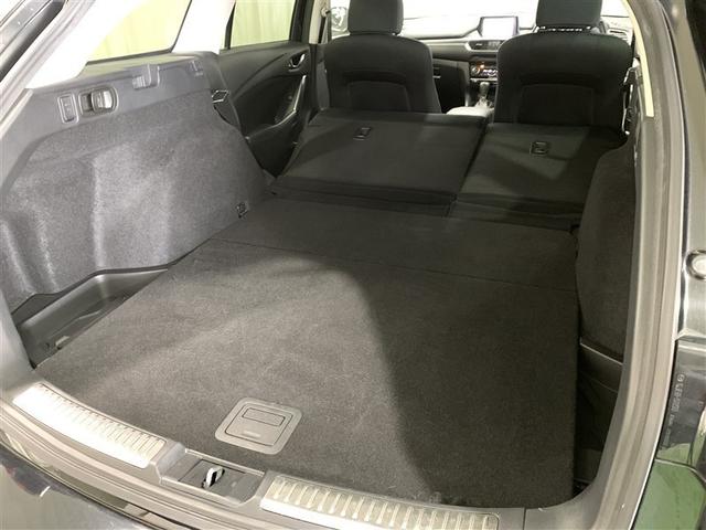 �㕔���Ȃ�|���΁A�傫�ȉו����n�j��