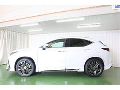 ���ףĥ����ƥ����ܡ����ե����ɤ���ƻ�ʤɤγ��䤹��ϩ�̤Ǥ�¿��������ԤǤ��ޤ��� 5