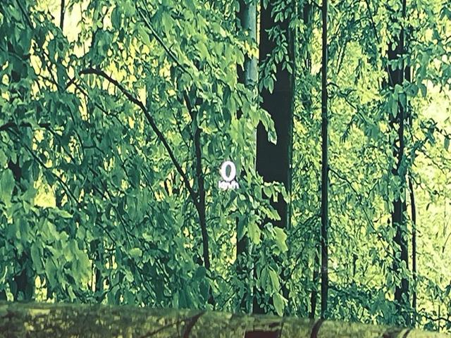 CX-60 XD Lパッケージ サンルーフ 黒革 12.3型メーカーナビ BOSE 全周囲カメラ 衝突被害軽減システム レーダークルーズ 禁煙車 電動リアゲート シートヒーター ドラレコ コーナーセンサー スマートキー LEDヘッド(46枚目)