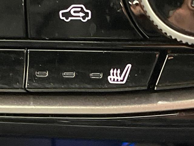 フォレスター アドバンス サンルーフ 純正8型ナビ 禁煙車 バックカメラ サイドカメラ デジタルインナーミラー パワーバックドア アイサイトセイフティ+ 革シート 全席シートヒーター LEDヘッド&フォグ ETC ドラレコ(68枚目)