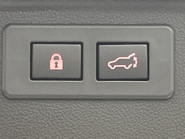 フォレスター アドバンス サンルーフ 純正8型ナビ 禁煙車 バックカメラ サイドカメラ デジタルインナーミラー パワーバックドア アイサイトセイフティ+ 革シート 全席シートヒーター LEDヘッド&フォグ ETC ドラレコ(70枚目)