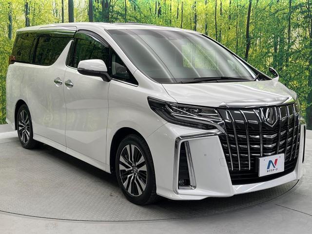 アルファード ２．５Ｓ　Ｃパッケージ　後期　ムーンルーフ　純正９型ナビ　フリップダウン　ＢＳＭ　デジタルミラー　両側電動　パワーバックドア　シートベンチレーション　３眼ＬＥＤ　Ｂｌｕｅｔｏｏｔｈ　ＣＤ／ＤＶＤ（18枚目）