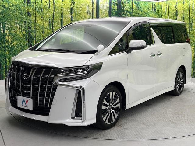 アルファード ２．５Ｓ　Ｃパッケージ　後期　ムーンルーフ　純正９型ナビ　フリップダウン　ＢＳＭ　デジタルミラー　両側電動　パワーバックドア　シートベンチレーション　３眼ＬＥＤ　Ｂｌｕｅｔｏｏｔｈ　ＣＤ／ＤＶＤ（31枚目）