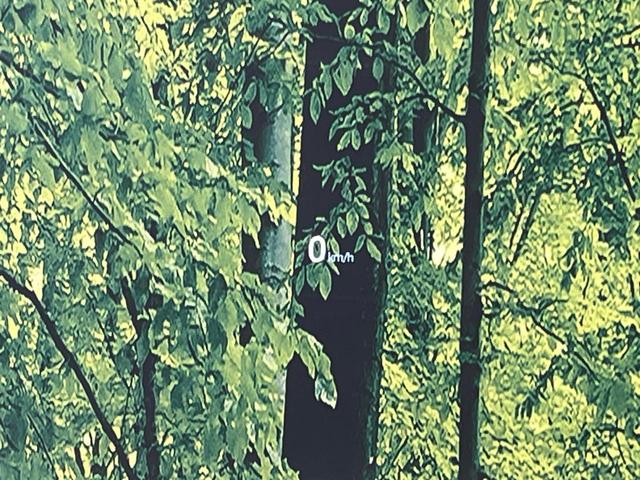 ＣＸ－８ ２５Ｓ　プロアクティブ　メーカーナビ　全周囲カメラ　フルセグ　ＢＳＭ　衝突被害軽減システム　レーダークルーズ　禁煙車　パワーシート　コーナーセンサー　スマートキー　ＬＥＤヘッド　ＥＴＣ　シートヒーター（43枚目）