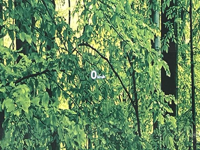 ＣＸ－５ ＸＤ　Ｌパッケージ　メーカーナビ　バックカメラ　ＢＯＳＥサウンド　禁煙車　スマートシティブレーキ　レーダークルーズ　ホワイトレザー　全席シートヒーター　メモリーシート　フルセグ　ＣＤ／ＤＶＤ　ステアリングヒーター（43枚目）