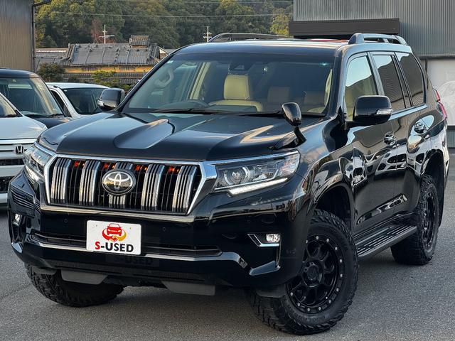 ランドクルーザープラド TX ワンオーナー/ユーザー買取/アルパインナビ/バックカメラ/YKW17インチアルミ/ルーフレール/シートカバー(7枚目)