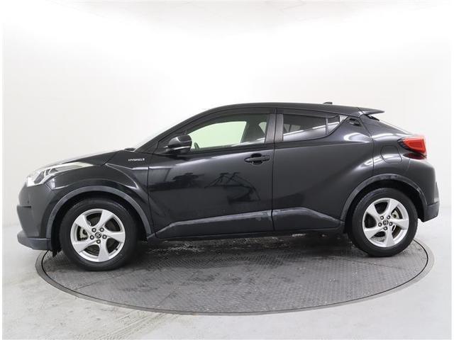 �l�C�̂b�|�g�q�����ɂ��܂�����B