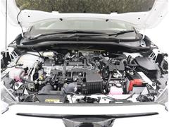 ʤϤޤ긫ʤ󥸥롼˻ž夲ƤޤʤȤݤǤ͡ 6