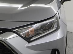 �̣ţĥإåɥ饤�ȤǤ����ǥ����������褯�ȤƤ����뤤�Τǡ���֤����Ԥ䰭ŷ���Ǥ�¿��Ǥ���������Ĺ��̿�� 6