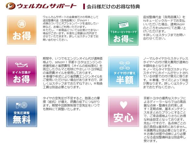 S ワンセグ メモリーナビ バックカメラ 衝突被害軽減システム ETC LEDヘッドランプ(41枚目)