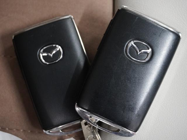 ＣＸ－３ １５Ｓアーバンドレッサー　ワンオーナー　７インチナビ　全周囲カメラ　ドラレコ　ＥＴＣ　アダプティブクルーズコントロール　シートヒーター　Ｂｌｕｅｔｏｏｔｈ　ＵＳＢ入力端子　ＬＥＤヘッドライト　衝突被害軽減ブレーキ　禁煙車（34枚目）