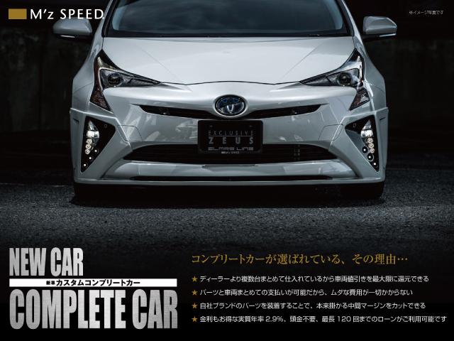 ＴＸ　５人乗　ディーゼルエンジン　ＺＥＵＳ新車カスタムコンプリートカー(24枚目)
