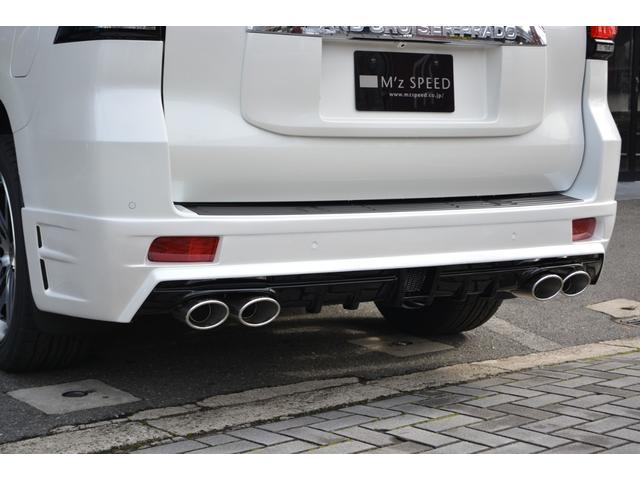 TX Lパッケージ 7人乗 ガソリンエンジン ZEUS新車カスタムコンプリートカー(11枚目)