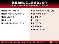 ����ե����� �ڡ���ǥꥹ���������ʣơ��ӡ��ҡˡܥޥե顼�������饰�ޥå� 0708780A30250926W001 7